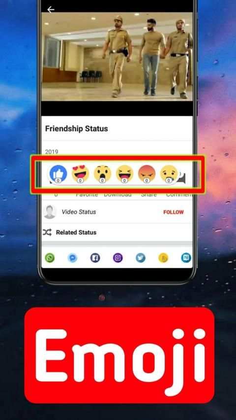 WidLy: FullScreen Video Status स्क्रीनशॉट 1