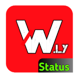 ikon WidLy: FullScreen Video Status