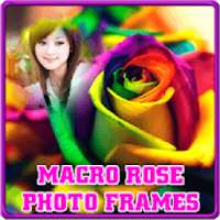 Macro Rose Photo Frames on 9Apps