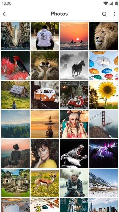 Gallery 7 تصوير الشاشة