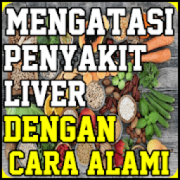 Mengatasi Penyakit Liver Dengan Cara Alami icon
