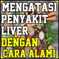 Mengatasi Penyakit Liver Dengan Cara Alami on 9Apps