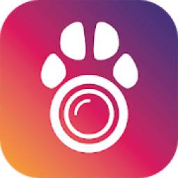PetCamApp - Dog Monitor | Pet Camera
