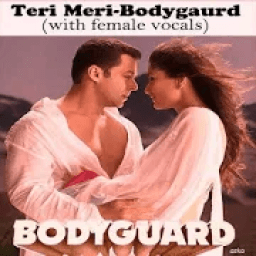 Teri Meri Sad Hindi Songs icon