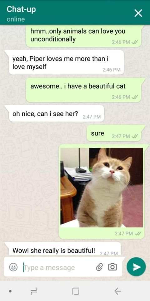 Chat-up: Talk to strangers screenshot 5