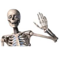 How to draw a person in stages on 9Apps