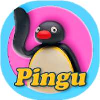 Pingo Cartoon For Kids on 9Apps