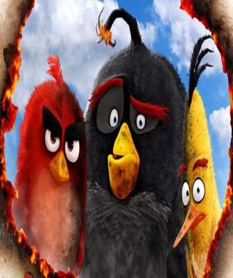 Multi-colored Bird Puzzle 2020 स्क्रीनशॉट 1
