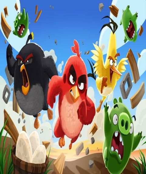 Multi-colored Bird Puzzle 2020 screenshot 2
