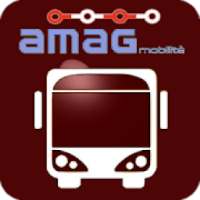 Amag Alessandria Bus Sapiens on 9Apps