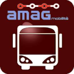 Amag Alessandria Bus Sapiens 2.12