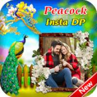 Peacock Insta DP on 9Apps