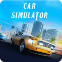 Speed Car Driving Simulator