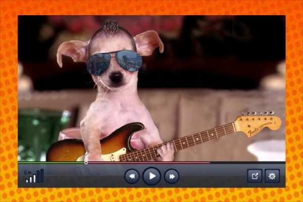 Funny Videos screenshot 4