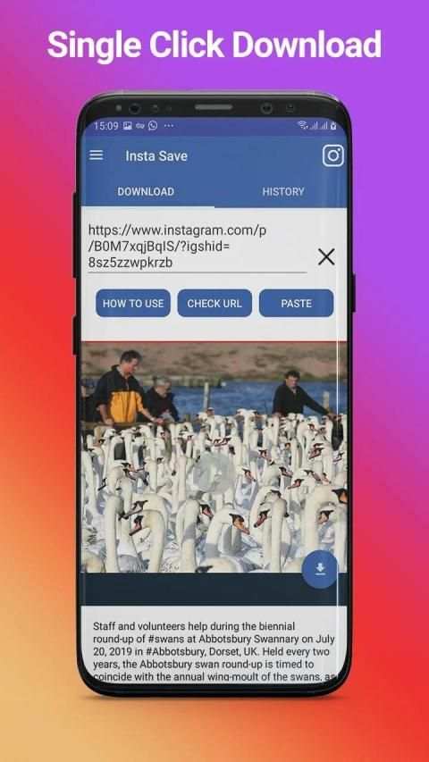 Insta Save - Instagram Video and Photo downloader screenshot 2