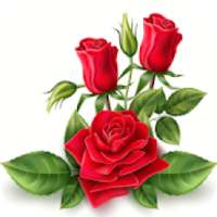 Amazing Flowers & Roses Images Gif Wallpaper