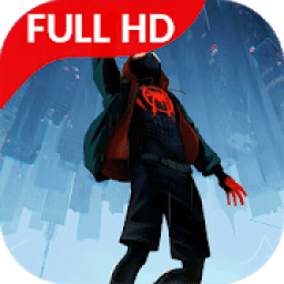 Spider Video Wallpaper आइकन