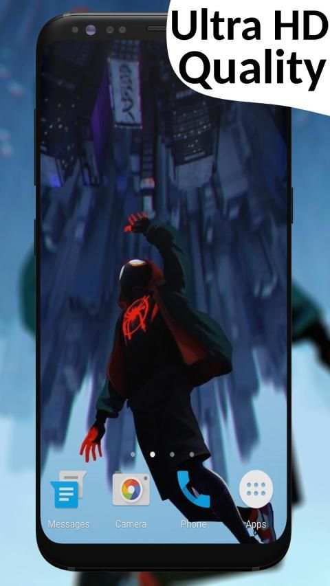 Spider Video Wallpaper screenshot 4