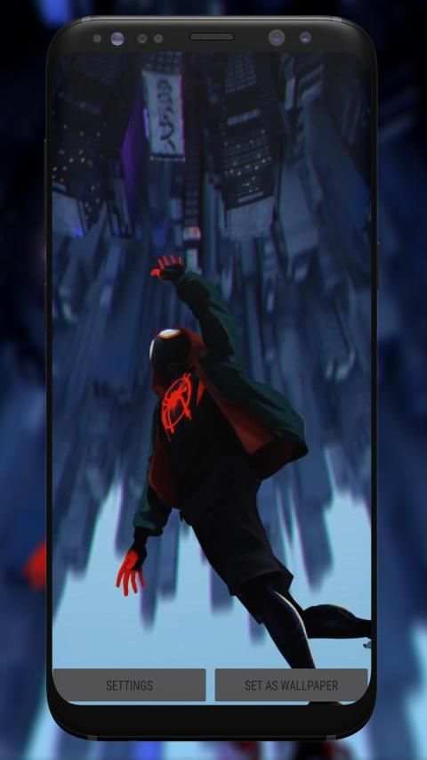 Spider Video Wallpaper screenshot 1