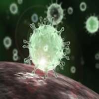 ikon Coronavirus Live Tracking &amp; Map