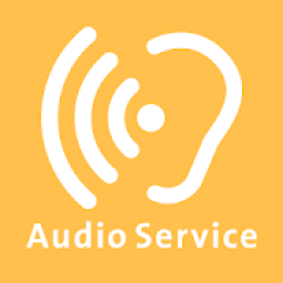 ikon Audio Service Smart Direct