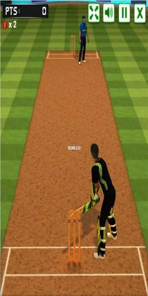 Cricket स्क्रीनशॉट 1