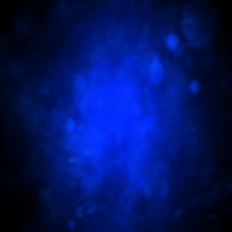 ikon Music Video Status Maker