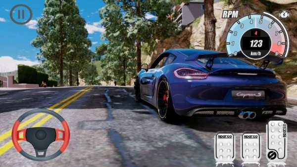 Top Simulator Porsche Cayman GT4 Edition screenshot 3