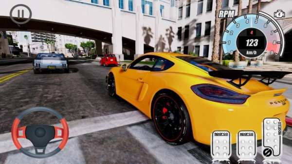 Top Simulator Porsche Cayman GT4 Edition screenshot 1