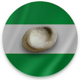 Camba Letrao *** - El Mejor Diccionario Camba icon