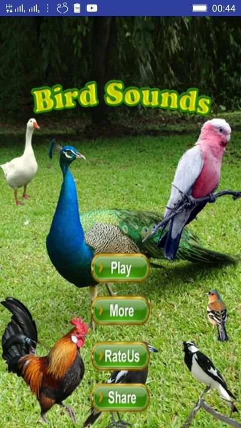 Bird Sounds स्क्रीनशॉट 26