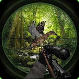 US Sniper Birds Hunting Jungle