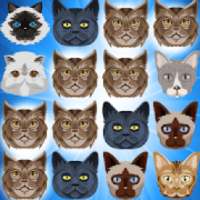 Cat Pop आइकन