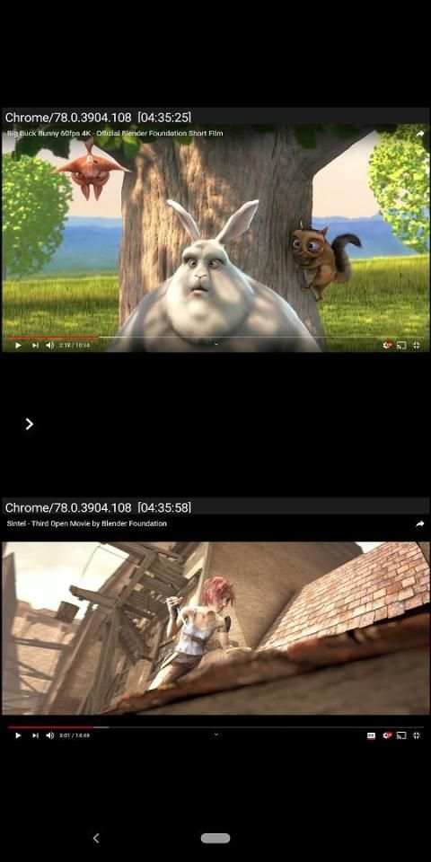 ChromeCastMirror (Demo) screenshot 8