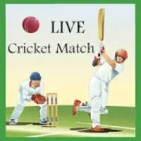LIVE Cricket Match