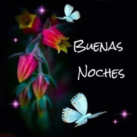 Descarga de la aplicación Buenos dias Buenas noches flores gif 2023 - Gratis - 9Apps Descarga de la aplicación Buenos dias Buenas noches flores gif 2023 - Gratis - 9Apps