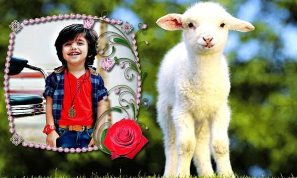 Bakra Eid Photo Frames screenshot 5