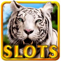 Slot Machine : Wild Cats Slots