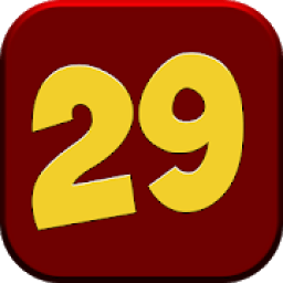 29 Card Game icon