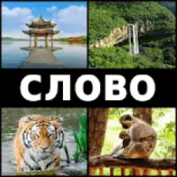 ▼4 фотки 1 слово | Что за слово? |► (ответы).