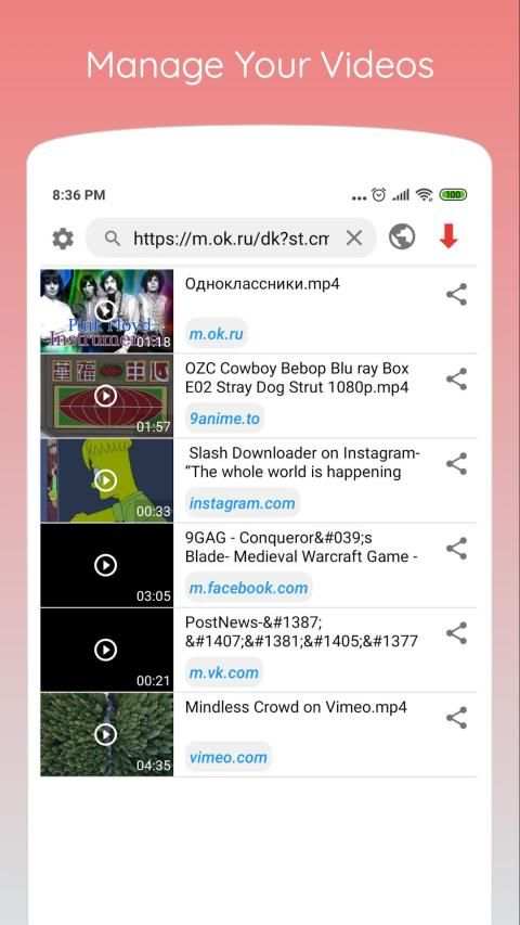 Website Video Downloader screenshot 1