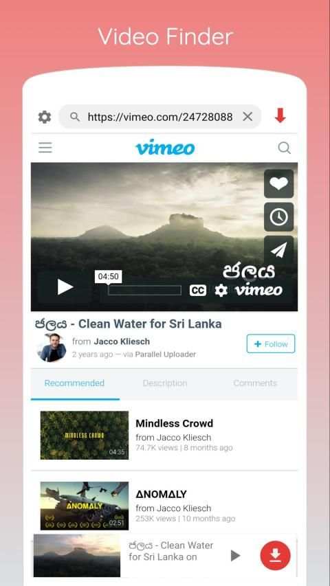Website Video Downloader screenshot 4