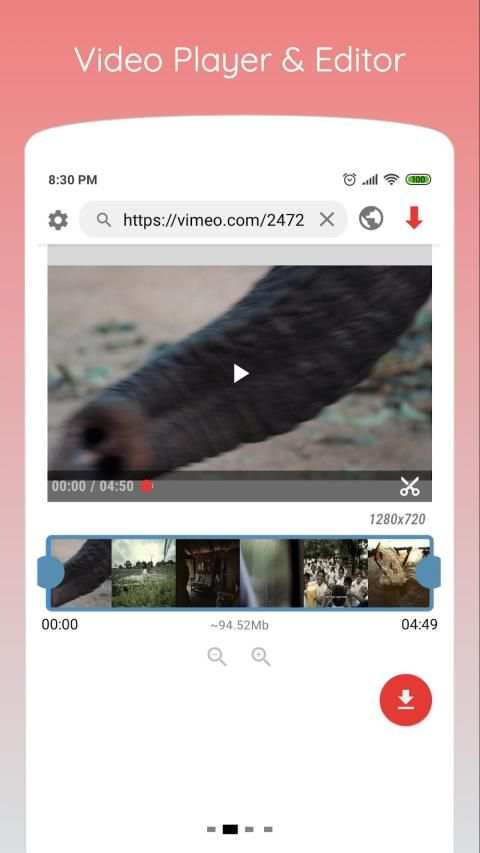 Website Video Downloader screenshot 3