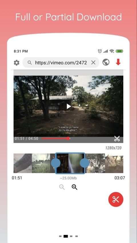 Website Video Downloader screenshot 2