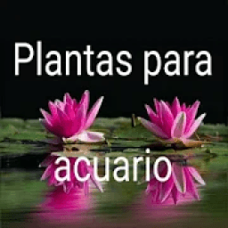 ikon Plantas para acuario,