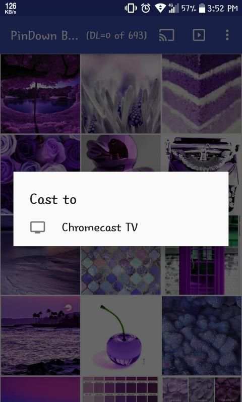 PinDown Bulk (Pinterest Downloader/Slideshow) screenshot 1