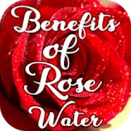 Rose Water Benefits