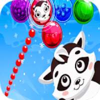 Bubble Shooter : Raccoon Rescue | Shooting Games*