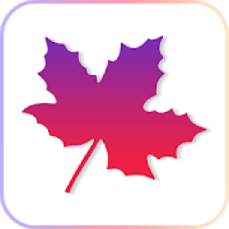 Maple corner आइकन