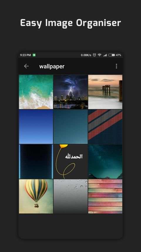 Picture Gallery (No Ads) screenshot 1